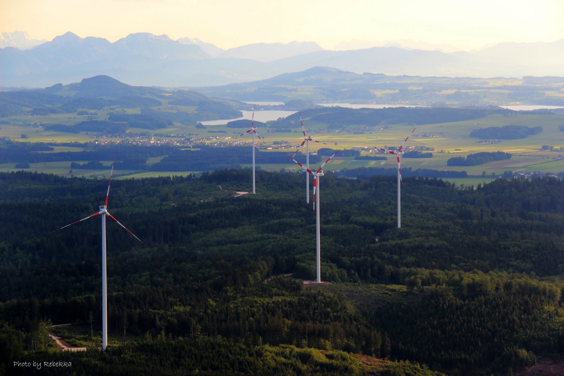 12646767_961876550558287_3290170181769939377_o 12646767_961876550558287_3290170181769939377_o