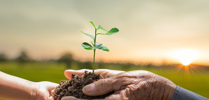 Dieses Bild zeigt Hände mit Erde. Das Bild symbolisiert eine saubere Umwelt.