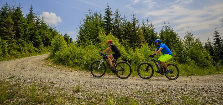 Dieses Bild zeigt zwei Radfahrer im Wald (Foto: Fotolia)