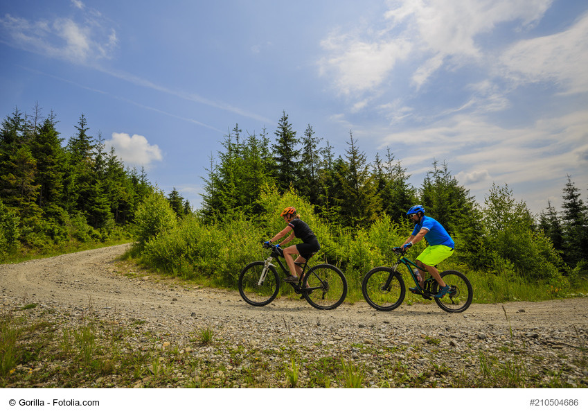 Dieses Bild zeigt zwei Radfahrer im Wald (Foto: Fotolia)