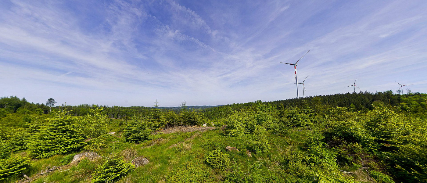 Dieses Bild zeigt den Windpark Munderfing (Foto: Aumayer Media)