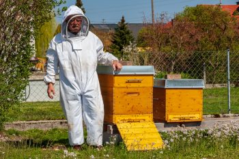 Dieses Bild zeigt Imker Alfred Matschl.