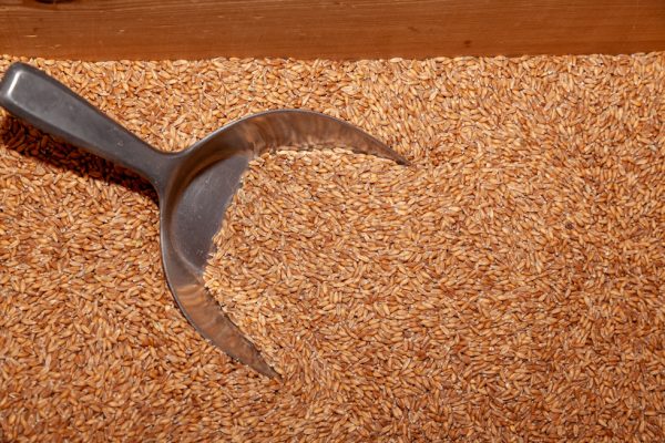 Paischer Reinhard und Hildegard (Foto: Fototeam Mattigtal) Paischer Reinhard und Hildegard (Foto: Fototeam Mattigtal)