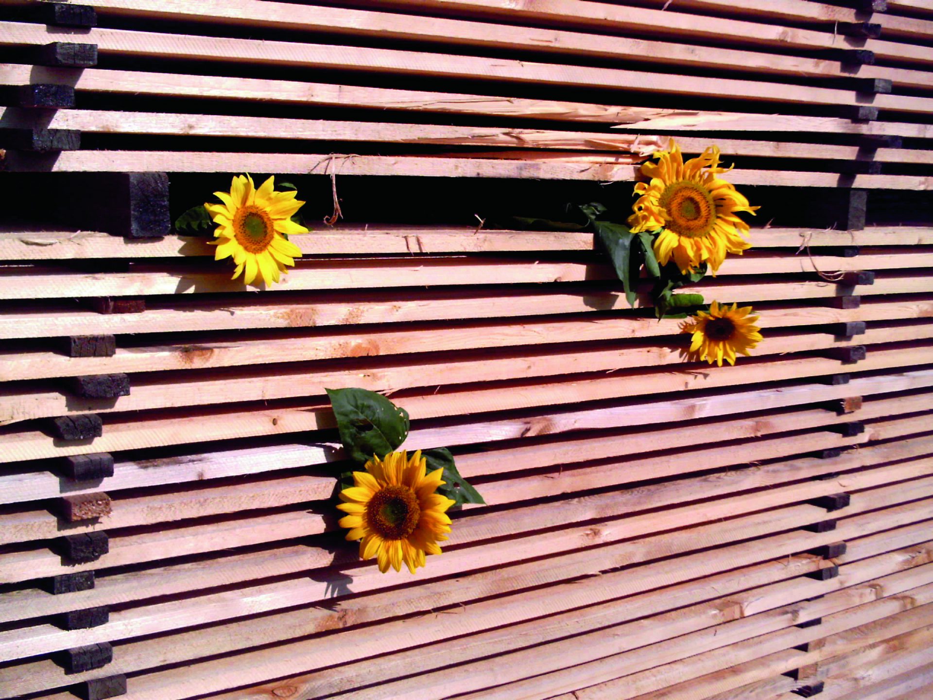 Leikermoser Mühle (Foto: Leikermoser) Leikermoser Mühle (Foto: Leikermoser)