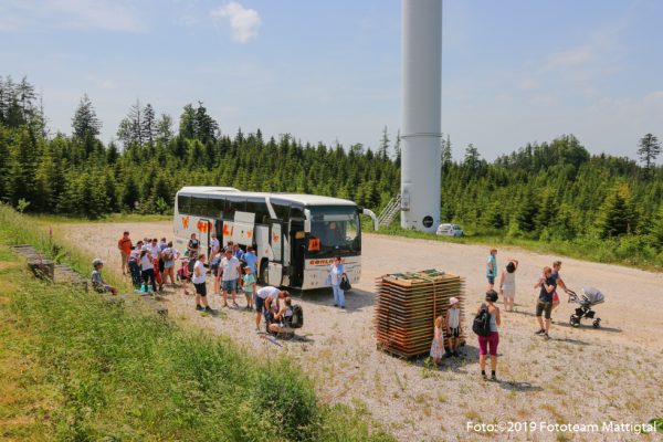 Windparklauf GemeindeIMG_9253_fotografie-feichtenschlager.at_0001 Windparklauf GemeindeIMG_9253_fotografie-feichtenschlager.at_0001