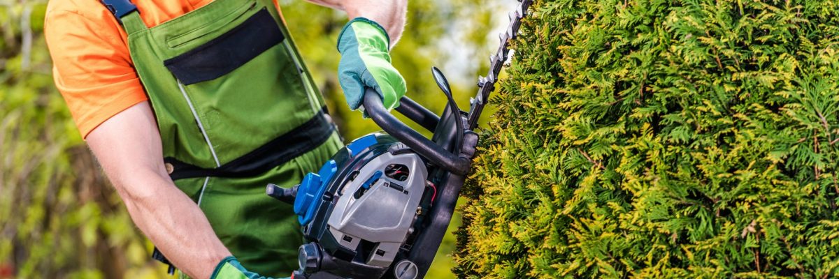 Dieses Bild zeigt einen Mann beim Heckenschneiden.