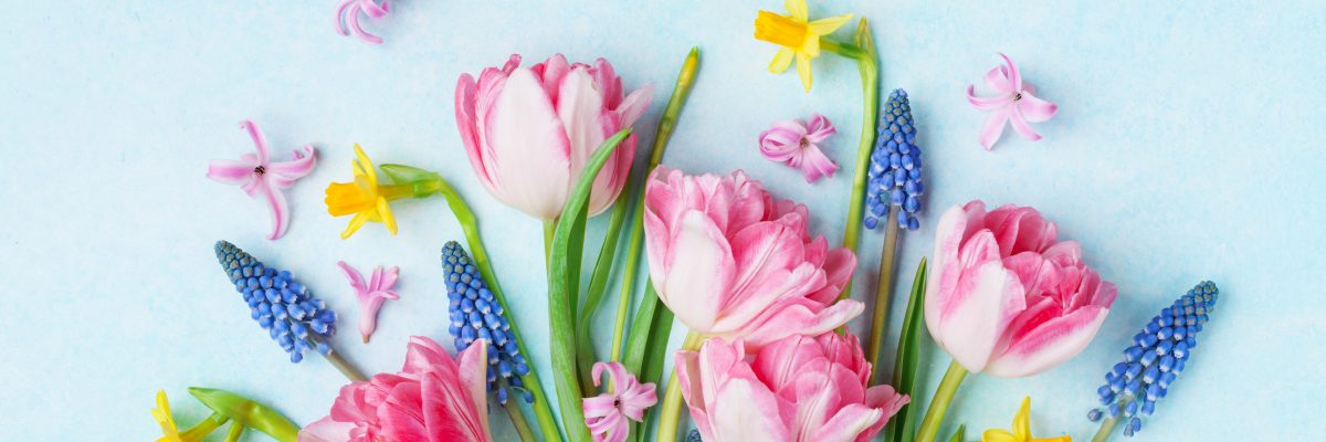 Dieses Bild zeigt einen Blumenstrauß.