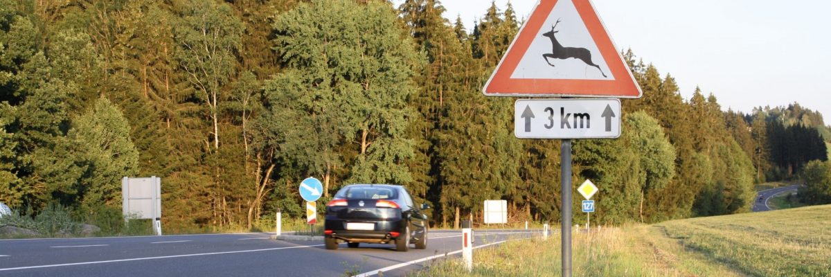 Dieses Bild zeigt ein fahrendes Auto.