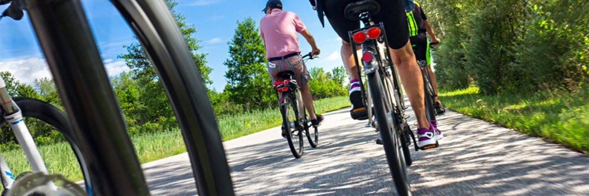 Dieses Bild zeigt eine Gruppe an Fahrradfahrer.