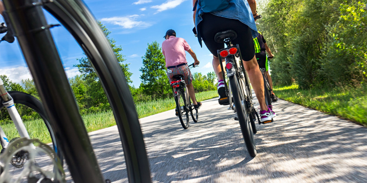 Dieses Bild zeigt eine Gruppe an Fahrradfahrer.