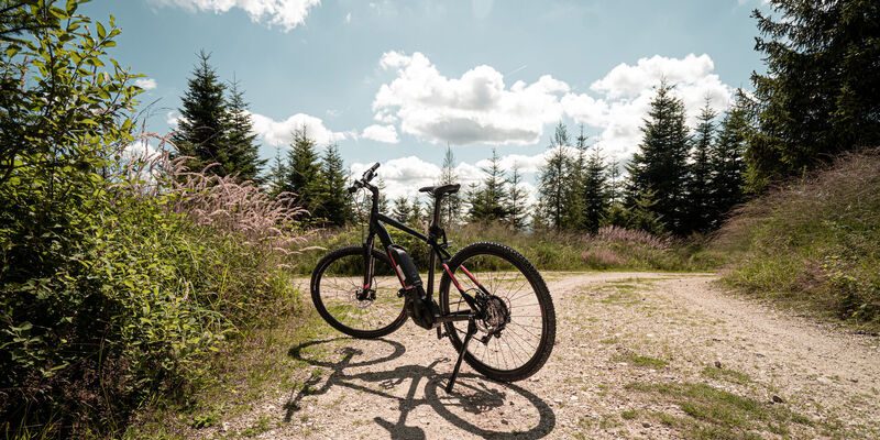Dieses Bild zeigt ein E-Bike. (Foto: Entdeckerviertel)