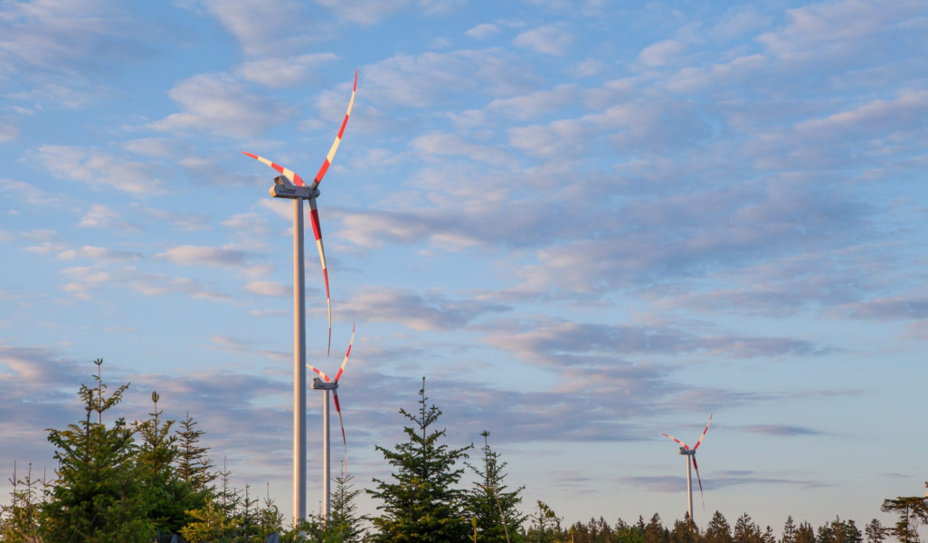 Dieses Bild zeigt den Windpark Munderfing (Foto: Astrid Knie)
