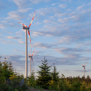 Windräder in Österreich mit roten Rotorblättern im Morgenlicht, umgeben von Bäumen.