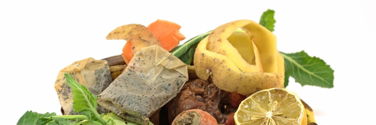 Dieses Bild zeigt Biomüll.