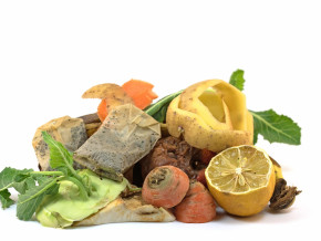 Biotonne und Bioabfall