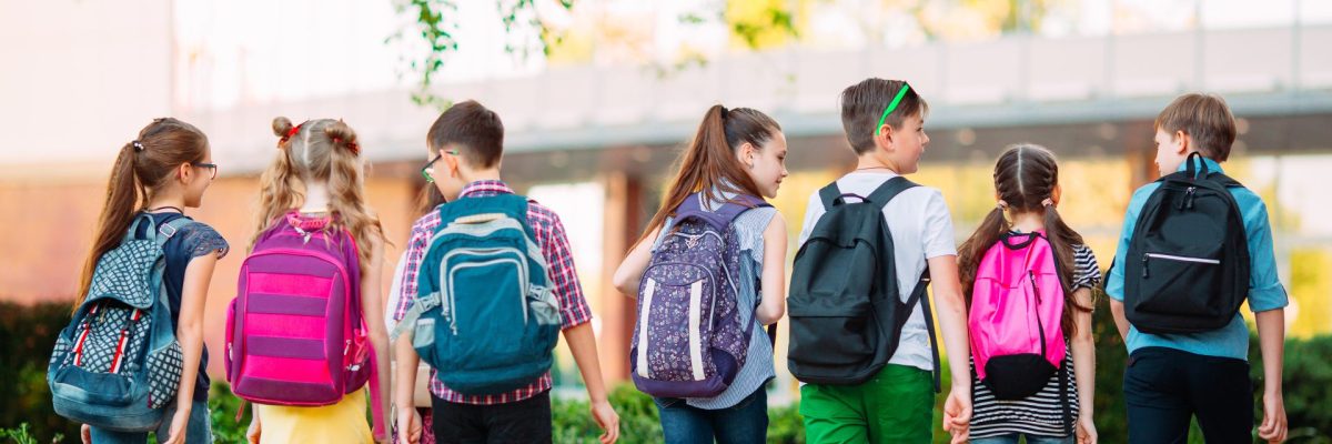 Dieses Bild zeigt eine Gruppe Kinder auf dem Schulweg.