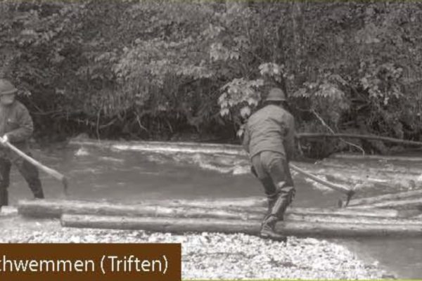 Historische Holztrift am Schwemmbach Historische Holztrift am Schwemmbach