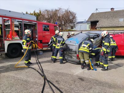 IMG_20230318_121353 IMG_20230318_121353