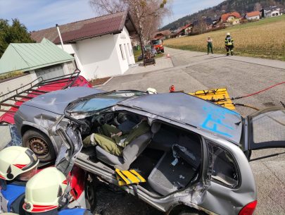 IMG_20230318_122337 IMG_20230318_122337