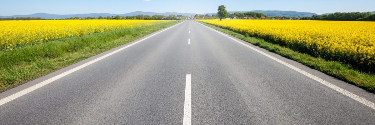 Dieses Bild zeigt eine Straße