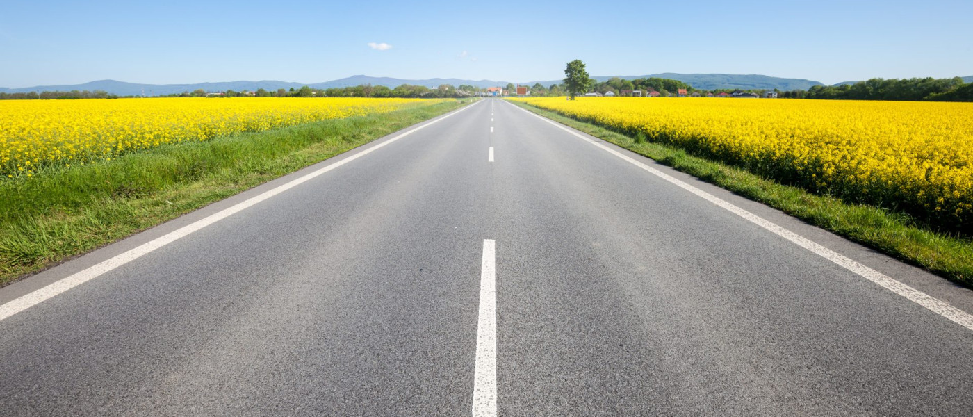 Dieses Bild zeigt eine Straße