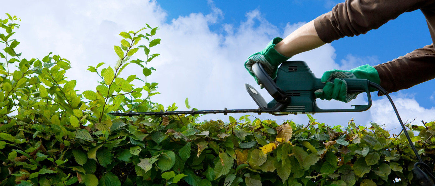 jemanden beim Hecke schneiden