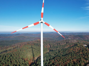Erweiterung Windpark: Windstrom aus dem Kobernausserwald