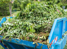 Dieses Bild zeigt einen Container mit Grünschnitt.