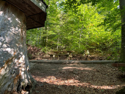 IMG-20231012-WA0002 IMG-20231012-WA0002