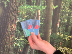 Schnupperticket
