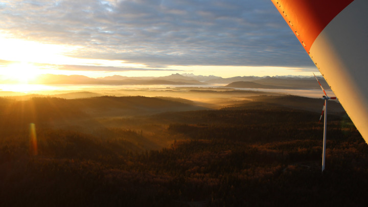 Windparkprojekt Kobernaußerwald vor der Vollständigkeitserklärung